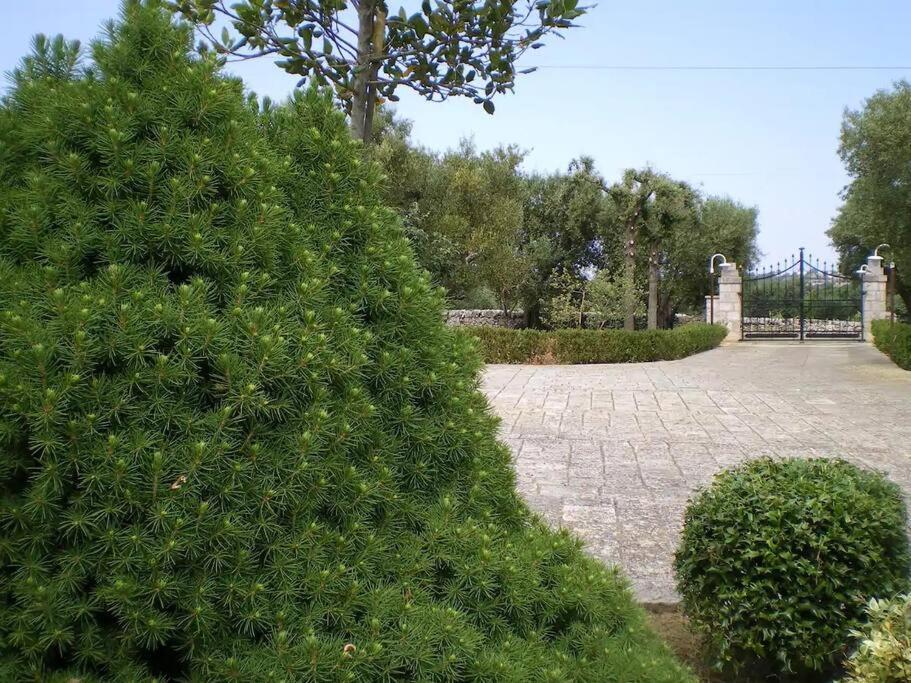 Villa Trulli Giulivi Locorotondo Exterior foto